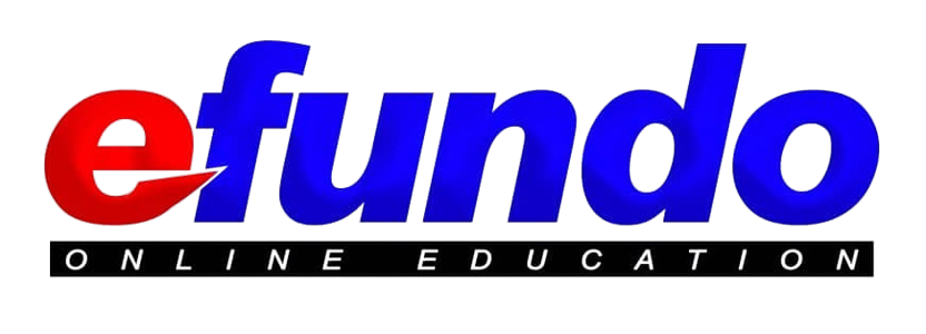 EfundoConnect