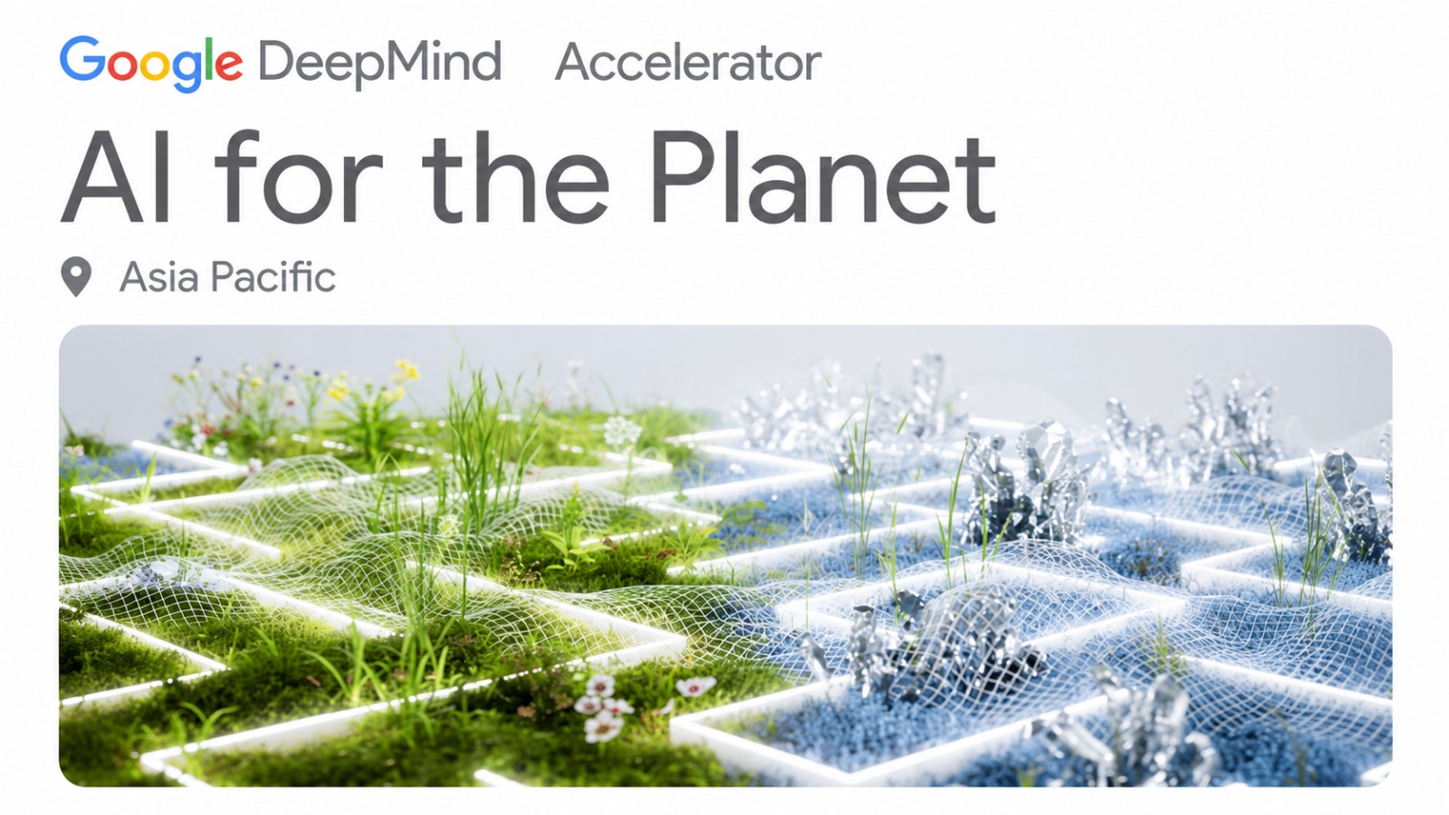 Google DeepMind Accelerator AI for the Planet 2026 for Asia Pacific Organizations: Equity Free Support, Google AI Mentorship, Cloud Credits, and Global Exposure