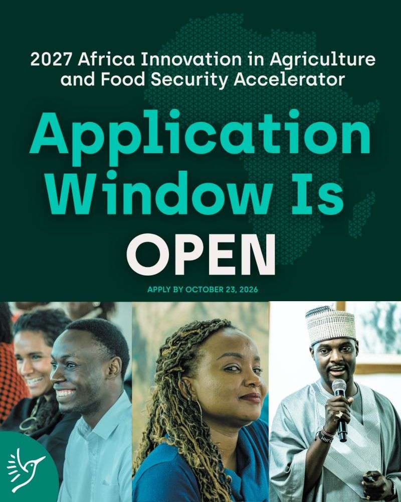 Halcyon Open Application 2026: Apply Year-Round to Join a Global Community of Impact-Driven Founders