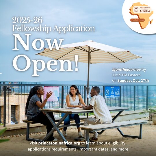 The Princeton in Africa Fellowships 2027/2028 for young African graduates.