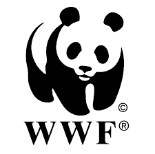 WWF-Amano Fellows Program 2026 for young Zimbabwean leaders
